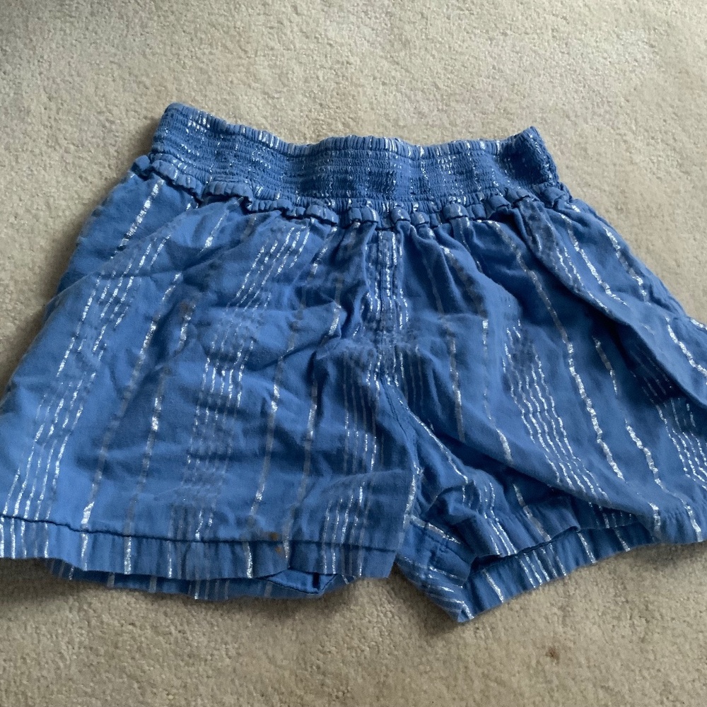 Blue Shorts with Silver Stripes